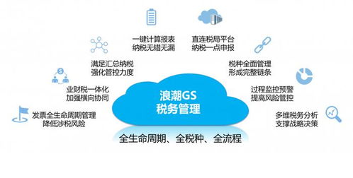 盘点5款好用的管理报表和经营分析系统，覆盖多场景需求，助力公共资源交易运行技术服务