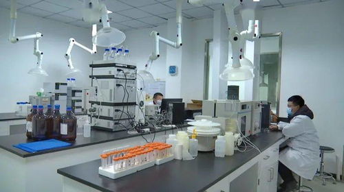 优化营商环境与服务质量 何平调研市公共资源交易中心与公共检测中心